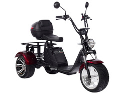 SKYBOARD TRIKE BR80 SKYBOARD TRIKE BR80