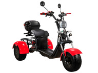 Электротрицикл SKYBOARD Irtysh TRIKE BR40-3000 PRO FAST OFF-ROAD