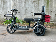 Электротрицикл TRION Transporter DUAL (серый)