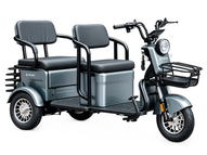 Электротрицикл TRION TRANSIT PLUS